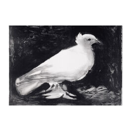Dove Peace, Picasso (Pack of 6) - Xmas GC